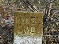 NL, Noord-Brabant, Eindhoven, Lage Heide 12, Saxifraga-Jan van der Straaten