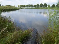 NL, Noord-Brabant, Hilvarenbeek, Rioolwaterzuivering Biest-Houtakker 3, Saxifraga-Tom Heijnen