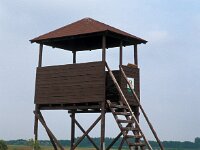 Bird watching-Vogels kijken