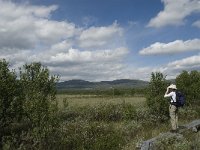 N, Oppland, Dovre, Fokstumyra 42, Saxifraga-Jan van der Straaten