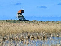 NL, Flevoland, Lelystad, Marker Wadden 13, Saxifraga-Tom Heijnen