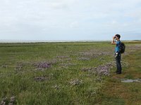 NL, Friesland, Terschelling, De Grie 15, Saxifraga-Dirk Hilbers