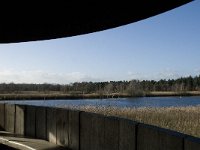 NL, Noord-Brabant, Bergeijk, Liskes Visvijver 8, Saxifraga-Marijke Verhagen