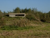 NL, Zuid-Holland, Dordrecht, Tongplaat 24, Saxifraga-Jan van der Straaten