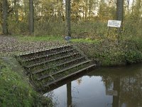 B, Limburg, Neerpelt, Hageven, Dommel 12, Saxifraga-Jan van der Straaten