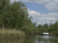 NL, Noord-Brabant, Altena, Gat van de Vloeien 16, Saxifraga-Jan van der Straaten