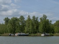 NL, Noord-Brabant, Altena, Petrusplaat 1, Saxifraga-Jan van der Straaten