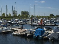 NL, Noord-Brabant, Drimmelen, Jachthaven 7, Saxifraga-Marijke Verhagen