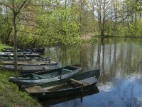 NL, Noord-Brabant, Heusden, Haarsteegs Wiel 19, Saxifraga-Jan van der Straaten