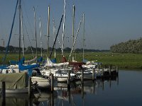 NL, Noord-Brabant, Moerdijk, Noordschans 3, Saxifraga-Jan van der Straaten