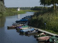 NL, Noord-Brabant, Sint-Michielsgestel, Halder 2, Saxifraga-Jan van der Straaten