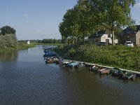 NL, Noord-Brabant, Sint-Michielsgestel, Halder 3, Saxifraga-Jan van der Straaten