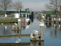 NL, Noord-Brabant, Steenbergen, Benedensas 2, Saxifraga-Jan van der Straaten