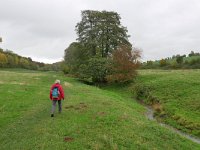 B, Limburg, Voeren, Altenbroek 2, Saxifraga-Tom Heijnen