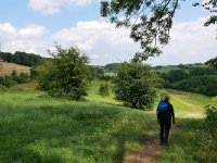 B, Limburg, Voeren, Noorbeek valley E of Limburg, Voeren 1, Saxifraga-Tom Heijnen