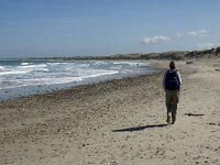 Nordjylland, Thisted, Norre Vorupor East 1, Saxifraga-Jan van der Straaten