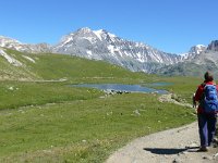 F, Savoie, Val-Cenis, Parc national de la Vanoise near Bellecombe 10, Saxifraga-Tom Heijnen