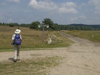 D, Niedersachsen, Schneverdingen, Wulfsberg 7, Saxifraga-Jan van der Straaten