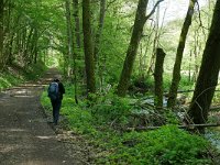 D, Rheinland-Pfalz, Daun, Eisenschmitt, Salm near Kloster Himmerod 3, Saxifraga-Tom Heijnen