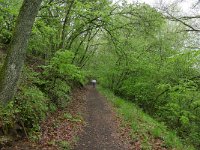 D, Rheinland-Pfalz, Manderscheid, Meerfelder Maar 2, Saxifraga-Tom Heijnen