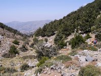 GR, Chania, Kantanos-Selino-Agia Eirini Gorge 1, Saxifraga-Tom Heijnen