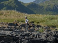 N, Nordland, Flakstad, Fredvang 3, Saxifraga-Jan van der Straaten