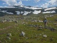 N, Oppland, Lom, Sognefjellet 36, Saxifraga-Jan van der Straaten