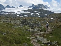 N, Oppland, Lom, Sognefjellet 41, Saxifraga-Jan van der Straaten