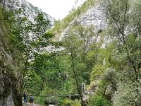 RO, Cluj, Turda, Cheile Turzii 4, Saxifraga-Tom Heijnen