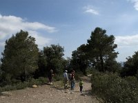 E, Barcelona, Matadepera,  NP Sant Llorenc del Munt 19, Saxifraga-Jan van der Straaten