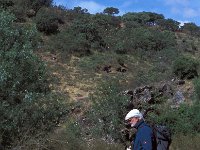 E, Caceres, Serradilla, Cerro Gimio 3, Saxifraga-Jan van der Straaten