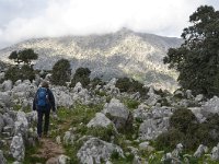 E, Cadiz, Grazalema, Sierra del Endrinal 8, Saxifraga-Tom Heijnen