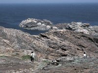 E, Girona, Cadaques, Cap de Creus 19, Saxifraga-Jan van der Straaten