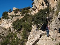 E, Mallorca, Alaro, Castel d Alaro 7, Saxifraga-Hans Dekker