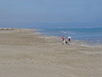 E, Tarragona, Deltebre, El Fangar 8, Saxifraga-Jan van der Straaten