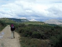 E, Teruel, Los Alagones, Las Planas 2, Saxifraga-Jan van der Straaten