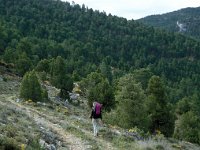 E, Teruel, Mora de Rubielos 1, Saxifraga-Jan van der Straaten