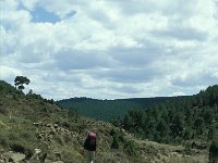 E, Teruel, Mora de Rubielos 12, Saxifraga-Jan van der Straaten