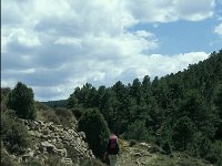 E, Teruel, Mora de Rubielos 13, Saxifraga-Jan van der Straaten