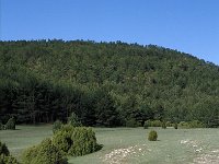 E, Teruel, Mora de Rubielos 4, Saxifraga-Jan van der Straaten