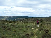 E, Teruel, Riodeva, El Val 1, Saxifraga-Jan van der Straaten