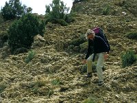 E, Teruel, Riodeva, Molino de la Montereta 1, Saxifraga-Jan van der Straaten