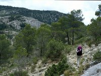 E, Teruel, Tronchon, El Higueral 3, Saxifraga-Jan van der Straaten