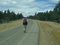 E, Teruel, Valdelinares 1, Saxifraga-Jan van der Straaten