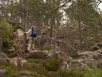 S, Vasternorrlands lan, Kramfors, Skuleskogen 8, Saxifraga-Jan van der Straaten