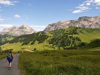 CH, Bern, Adelboden, Sillerenbuhl-Hahnenmoospass 2, Saxifraga-Tom Heijnen