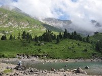 CH, Bern, Frutigen, Elsigsee 1, Saxifraga-Tom Heijnen