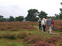 NL, Drenthe, Midden-Drenthe, Mantingerveld 20, Saxifraga-Hans Dekker