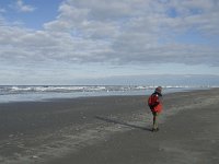 NL, Friesland, Terschelling, Boschplaat 35, Saxifraga-Jan van der Straaten