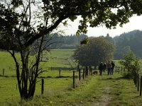 NL, Gelderland, Arnhem, Klarenbeek 17, Saxifraga-Marijke Verhagen